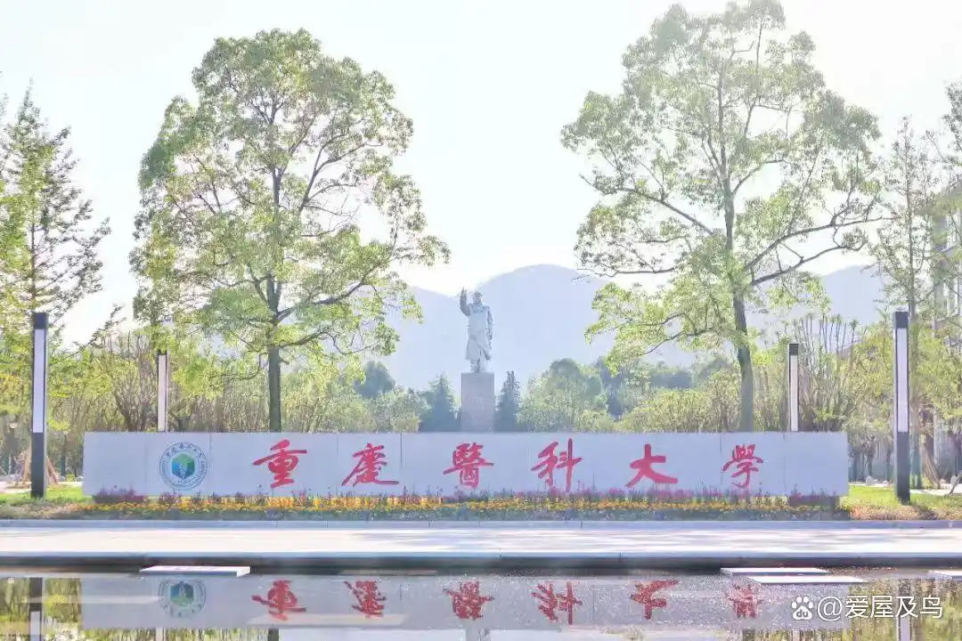 重庆医科大学校长黄爱龙卸任，曾入围院士候选人，回顾其领导历程