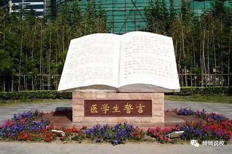 2023最新医学类大学排名揭晓：上海交大荣登榜首，清华意外未进前十