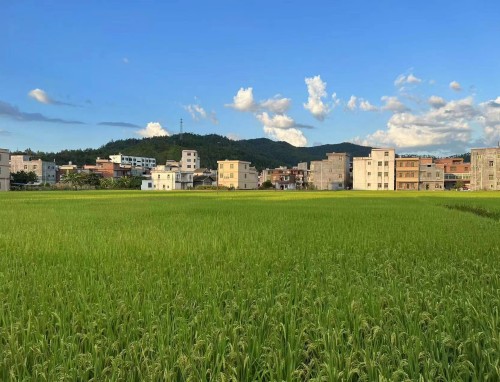 2022年山东高考志愿填报时间最新公布，考生必看